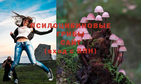 амф Алексин