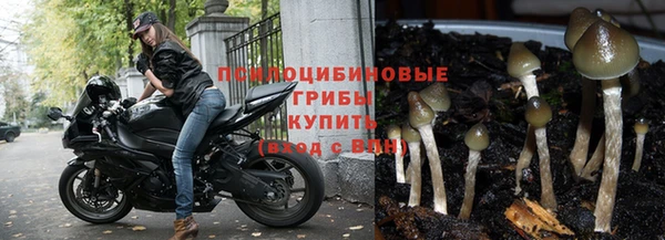 экстази Алексеевка
