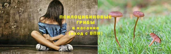 бошки Алзамай