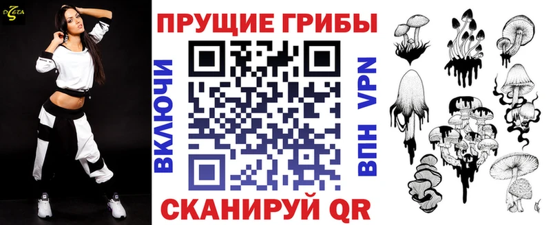 Галлюциногенные грибы Psilocybine cubensis купить наркотики цена Кашин