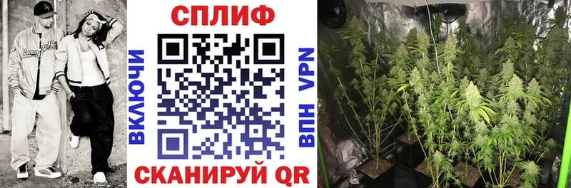 Конопля AK-47  купить наркотик  Кашин 